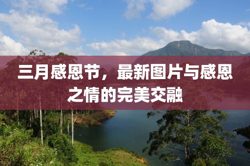 三月感恩節(jié)，最新圖片與感恩之情的完美交融