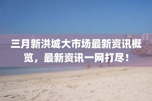 三月新洪城大市場(chǎng)最新資訊概覽，最新資訊一網(wǎng)打盡！
