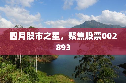 四月股市之星，聚焦股票002893