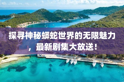 探尋神秘蟒蛇世界的無(wú)限魅力，最新劇集大放送！