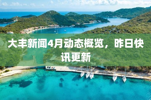 大豐新聞4月動態(tài)概覽，昨日快訊更新