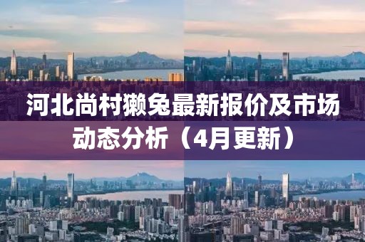 河北尚村獺兔最新報(bào)價(jià)及市場動(dòng)態(tài)分析（4月更新）