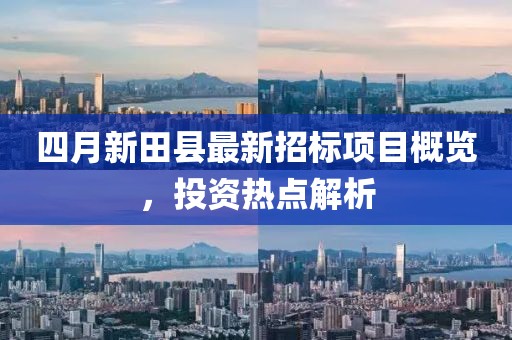 四月新田縣最新招標項目概覽，投資熱點解析