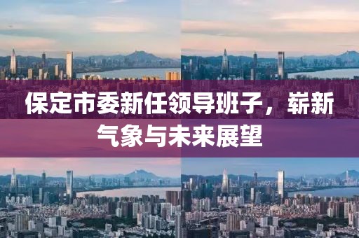 保定市委新任領(lǐng)導(dǎo)班子，嶄新氣象與未來(lái)展望