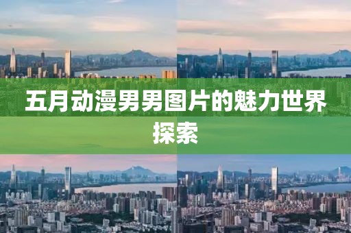 五月動(dòng)漫男男圖片的魅力世界探索