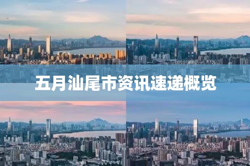 五月汕尾市資訊速遞概覽