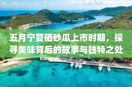 五月寧夏硒砂瓜上市時(shí)期，探尋美味背后的故事與獨(dú)特之處