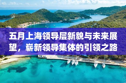五月上海領(lǐng)導(dǎo)層新貌與未來(lái)展望，嶄新領(lǐng)導(dǎo)集體的引領(lǐng)之路
