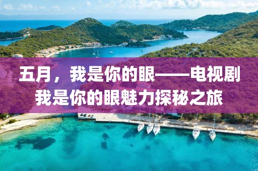 五月，我是你的眼——電視劇我是你的眼魅力探秘之旅