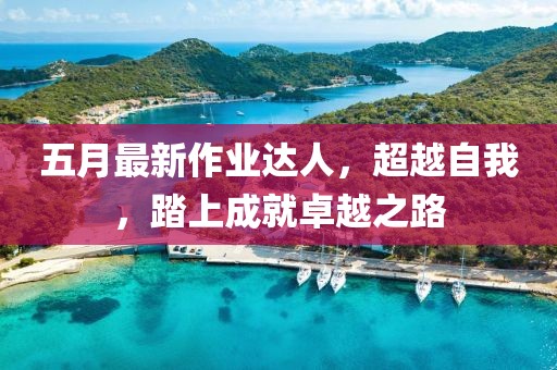 五月最新作業(yè)達(dá)人，超越自我，踏上成就卓越之路