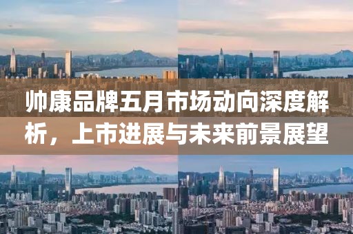 帥康品牌五月市場(chǎng)動(dòng)向深度解析，上市進(jìn)展與未來(lái)前景展望