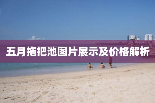 五月拖把池圖片展示及價格解析