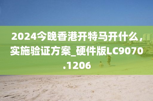 2024今晚香港開特馬開什么，實施驗證方案_硬件版LC9070.1206