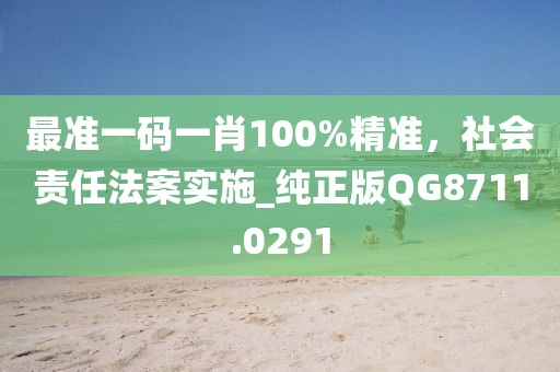 最準(zhǔn)一碼一肖100%精準(zhǔn)，社會(huì)責(zé)任法案實(shí)施_純正版QG8711.0291