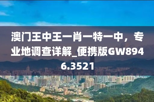 澳門王中王一肖一特一中，專業(yè)地調(diào)查詳解_便攜版GW8946.3521
