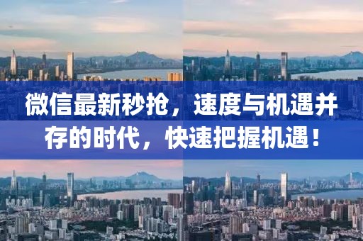 微信最新秒搶，速度與機(jī)遇并存的時(shí)代，快速把握機(jī)遇！