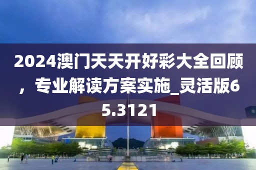 2024澳門天天開好彩大全回顧，專業(yè)解讀方案實(shí)施_靈活版65.3121