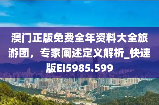 澳門正版免費全年資料大全旅游團，專家闡述定義解析_快速版EI5985.599