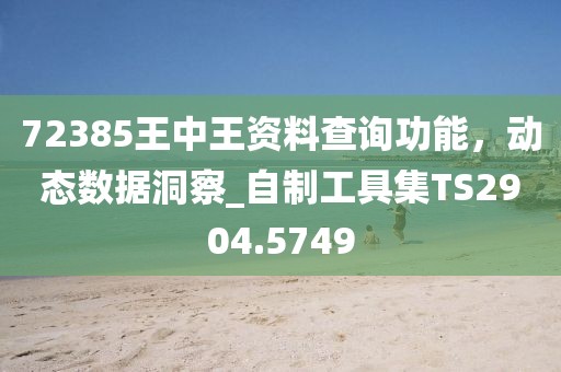 72385王中王資料查詢(xún)功能，動(dòng)態(tài)數(shù)據(jù)洞察_自制工具集TS2904.5749