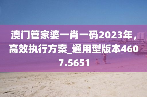 澳門管家婆一肖一碼2023年，高效執(zhí)行方案_通用型版本4607.5651