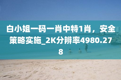 白小姐一碼一肖中特1肖，安全策略實(shí)施_2K分辨率4980.278