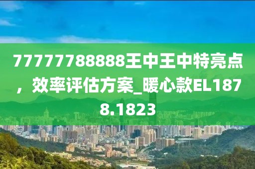 77777788888王中王中特亮點，效率評估方案_暖心款EL1878.1823