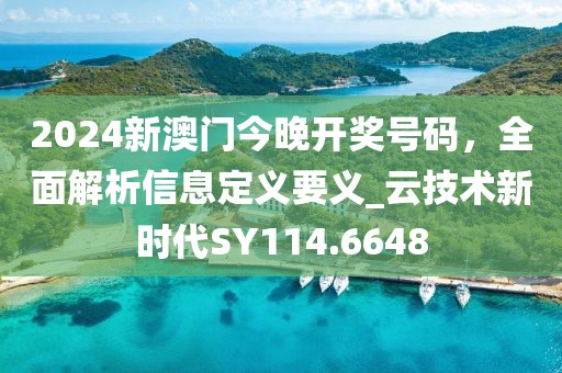 2024新澳門今晚開獎號碼，全面解析信息定義要義_云技術(shù)新時代SY114.6648