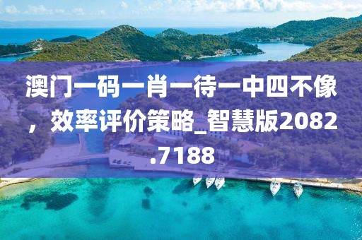 澳門一碼一肖一待一中四不像，效率評價策略_智慧版2082.7188