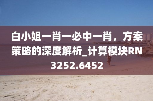 白小姐一肖一必中一肖，方案策略的深度解析_計(jì)算模塊RN3252.6452