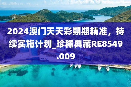 2024澳門天天彩期期精準(zhǔn)，持續(xù)實(shí)施計(jì)劃_珍稀典藏RE8549.009