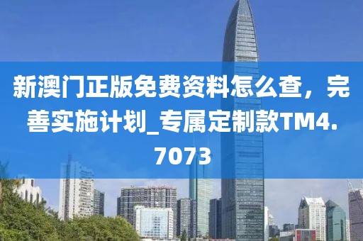 新澳門正版免費(fèi)資料怎么查，完善實(shí)施計(jì)劃_專屬定制款TM4.7073