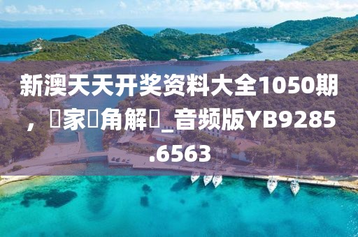 新澳天天開獎資料大全1050期，專家視角解讀_音頻版YB9285.6563