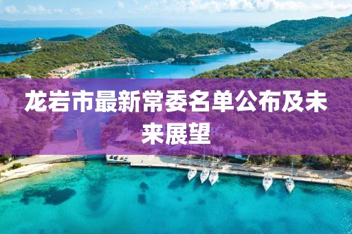龍巖市最新常委名單公布及未來展望