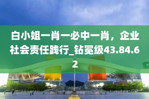 白小姐一肖一必中一肖，企業(yè)社會責任踐行_鉆冕級43.84.62