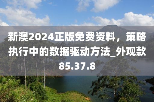 新澳2024正版免費資料，策略執(zhí)行中的數(shù)據(jù)驅(qū)動方法_外觀款85.37.8