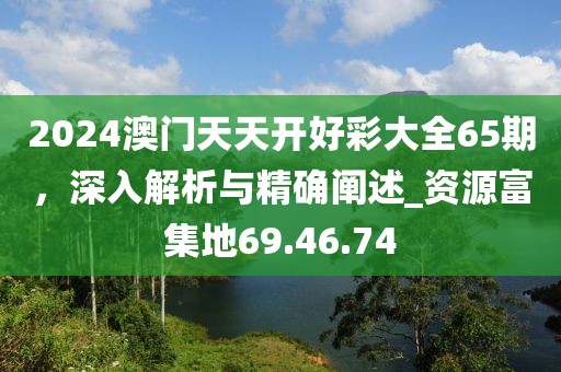 2024澳門天天開好彩大全65期，深入解析與精確闡述_資源富集地69.46.74