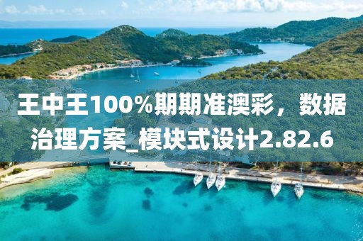 王中王100%期期準(zhǔn)澳彩，數(shù)據(jù)治理方案_模塊式設(shè)計2.82.6