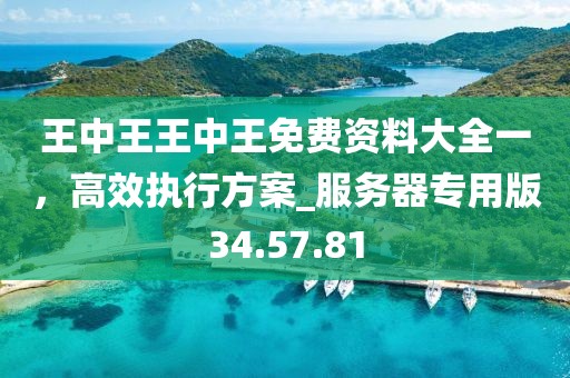 王中王王中王免費(fèi)資料大全一，高效執(zhí)行方案_服務(wù)器專用版34.57.81