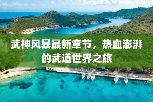 武神風暴最新章節(jié)，熱血澎湃的武道世界之旅