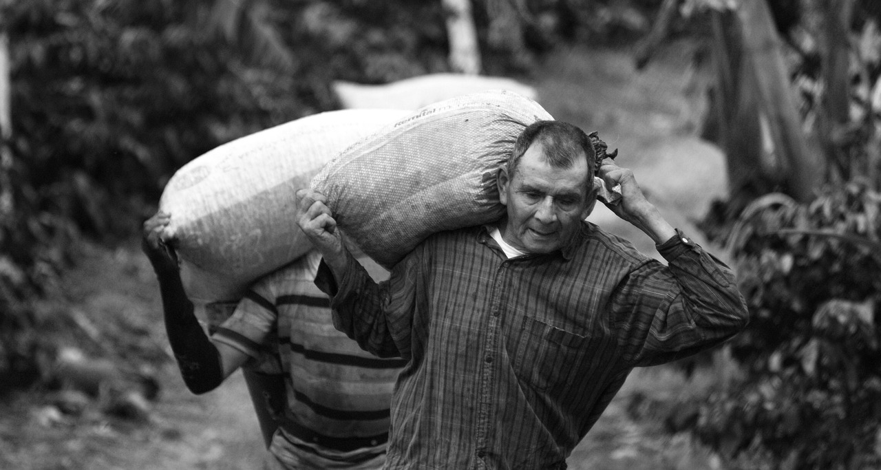 電改最新動態(tài)，推動能源轉型，助力可持續(xù)發(fā)展