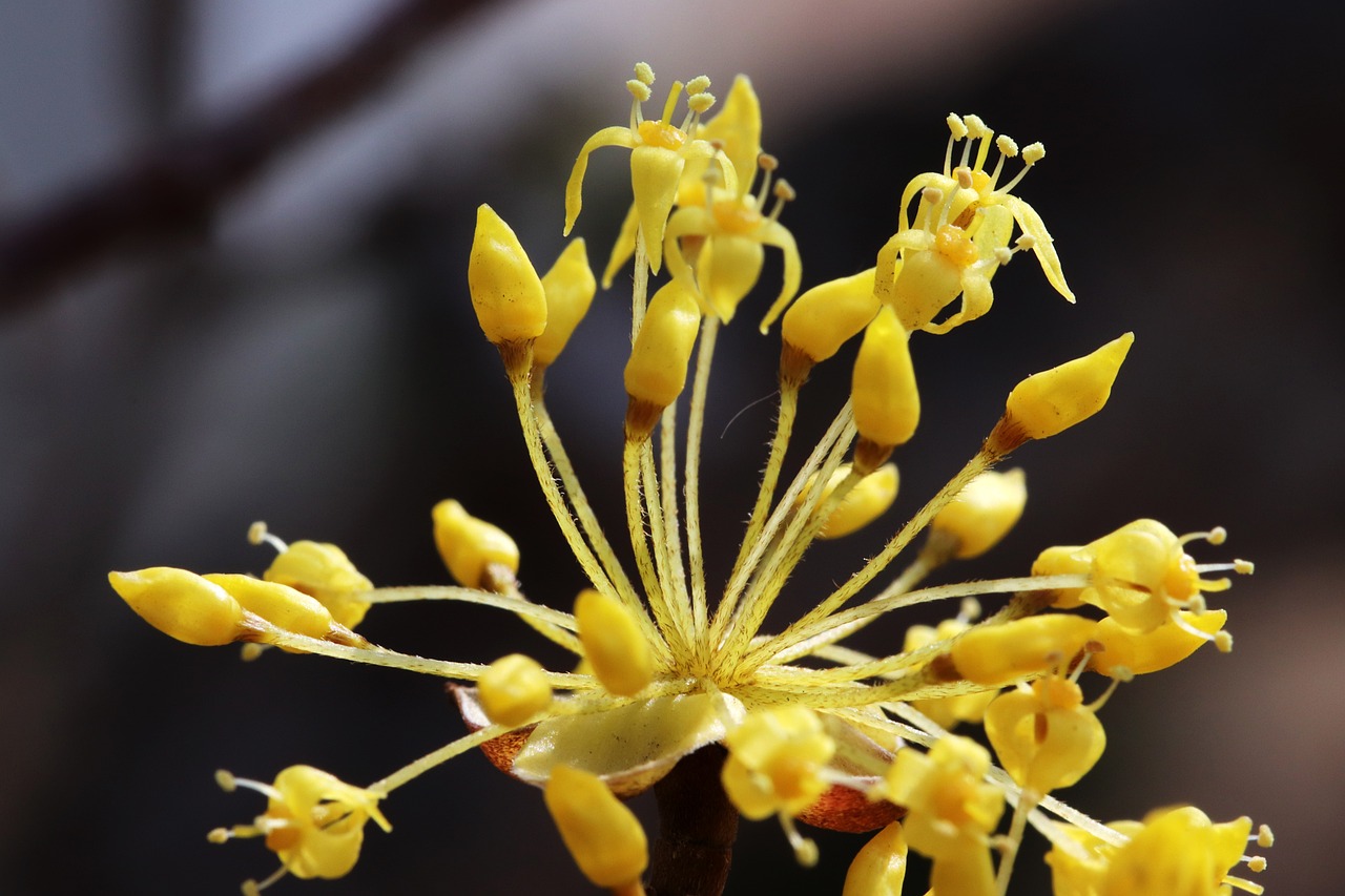 鹽湖股份最新消息綜述，今日動態(tài)一網(wǎng)打盡