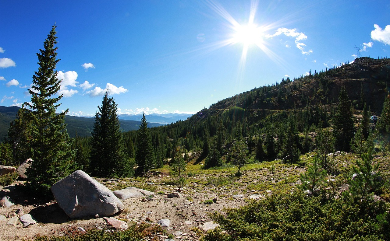 泰興最新化工廠招聘信息解讀與招聘動態(tài)速遞