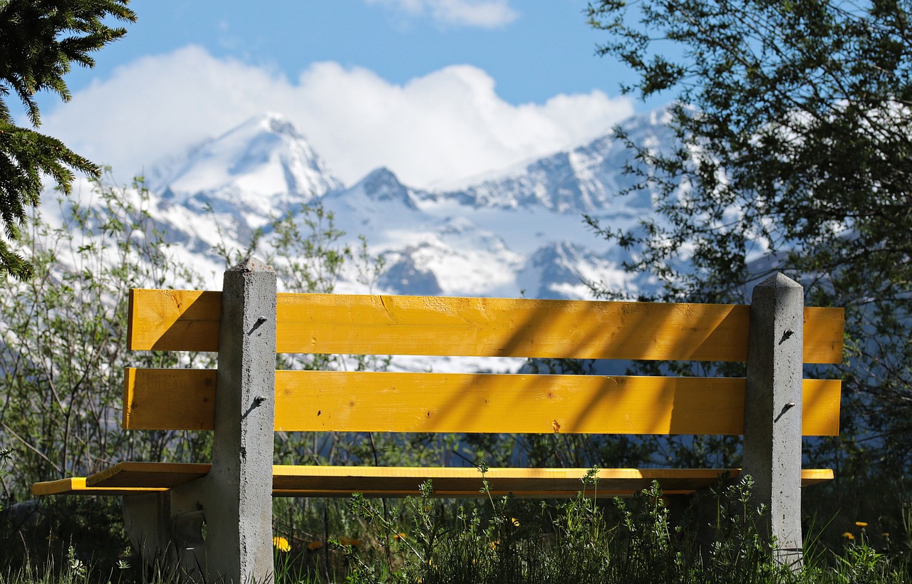 中印高鐵項(xiàng)目最新動(dòng)態(tài)，合作進(jìn)展、挑戰(zhàn)與前景展望