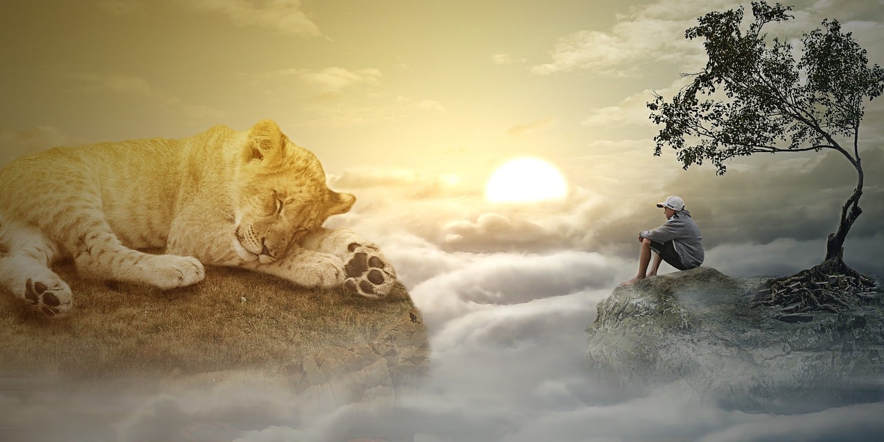 最新念佛感應(yīng)，探索內(nèi)心奧秘與外在奇跡的體驗(yàn)