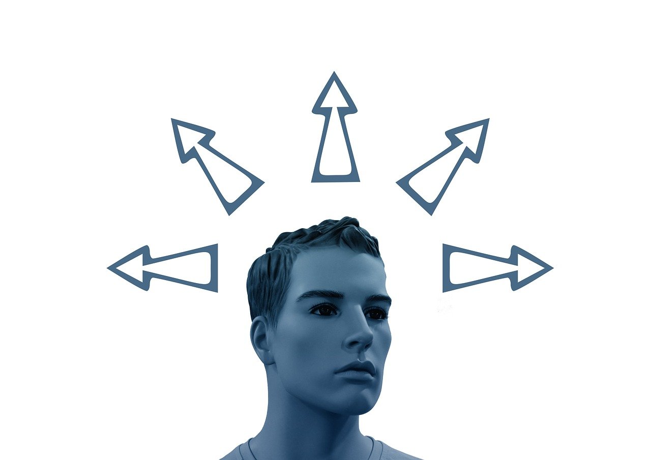 羽絨最新價(jià)格走勢，市場動態(tài)、影響因素與未來趨勢深度解析