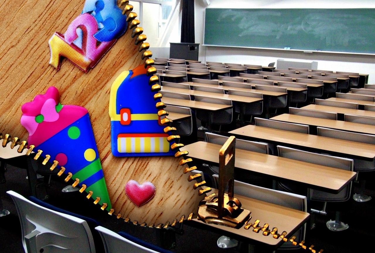 樂視公司最新動態(tài)，創(chuàng)新引領，邁向未來