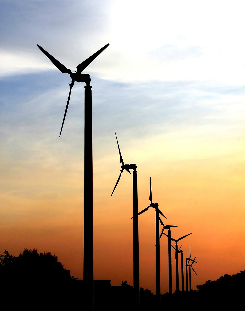 探索水主最新搭配，生態(tài)與可持續(xù)發(fā)展之路的新篇章