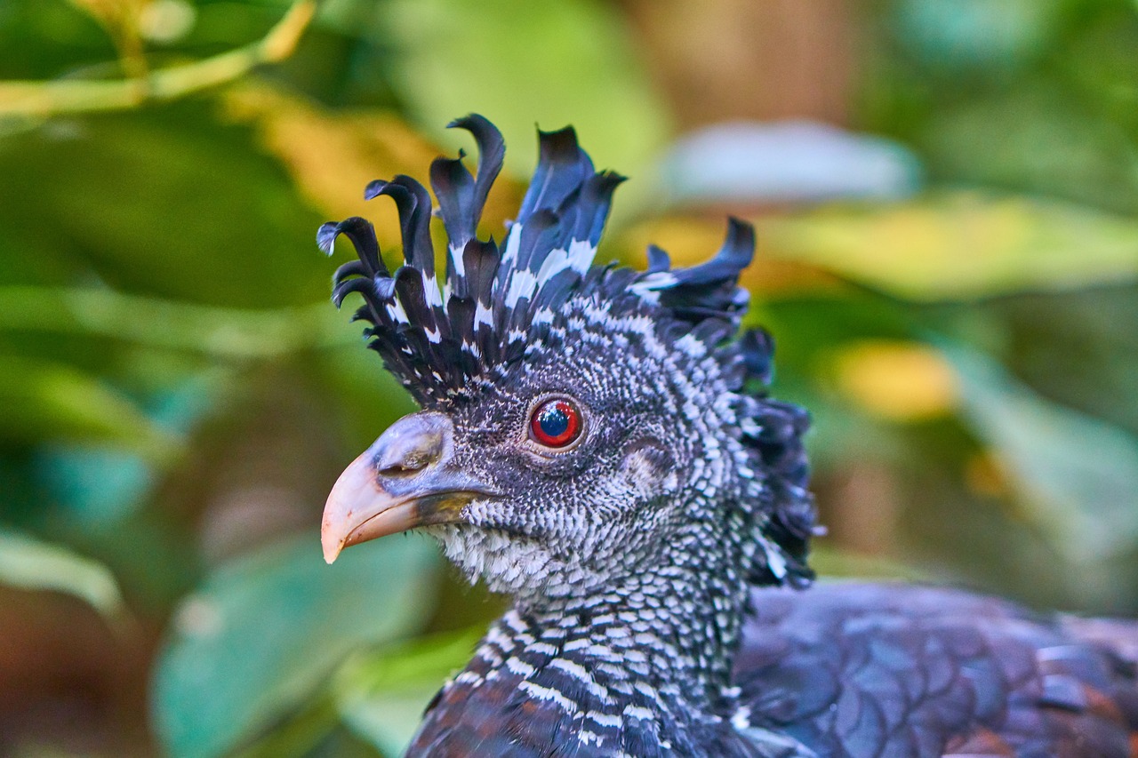 全球熱帶氣旋最新動態(tài)，影響及應(yīng)對策略揭秘