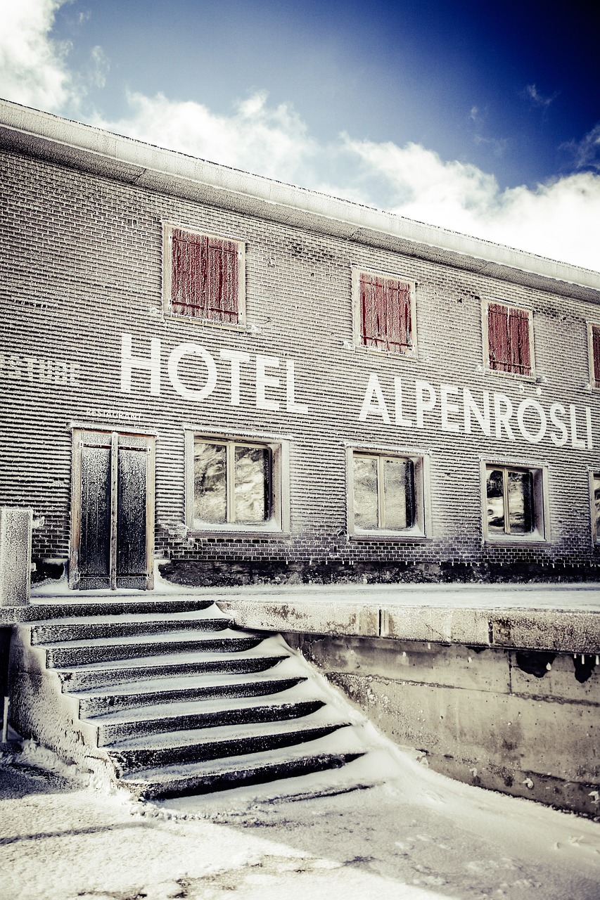 君康人壽最新動態(tài)，創(chuàng)新發(fā)展的路徑與前景展望