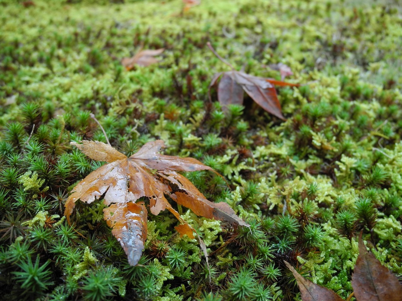 北流最新新聞深度解析，動態(tài)更新與熱點聚焦